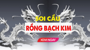 Rồng Bạch Kim Chốt Số Hôm Nay - Dự Báo Chính Xác Tại PG88